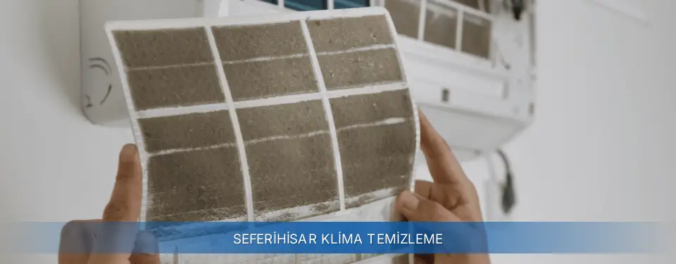 Seferihisar İlçemi General Electric Klima Temizleme